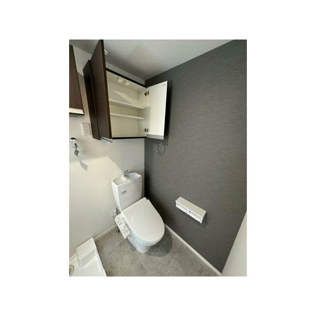 トイレ　同施工タイプ