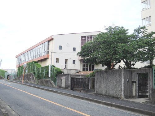 中学校　阪南市立鳥取東中学校（中学校）まで194m