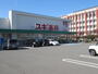 ドラックストア　スギ薬局福井田原町店（ドラッグストア）まで508m