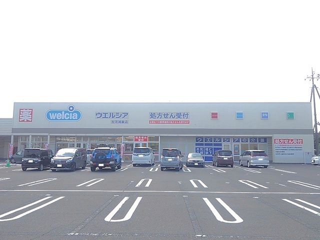 ドラックストア　ウエルシア古河鴻巣店（ドラッグストア）まで1500m
