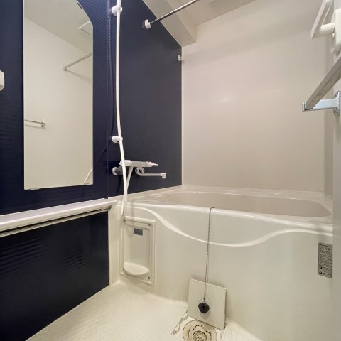 バス・シャワールーム　同仕様タイプです