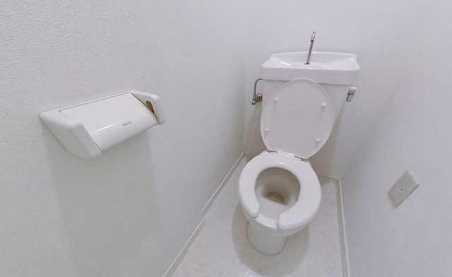 トイレ　他の号室の参考写真です。