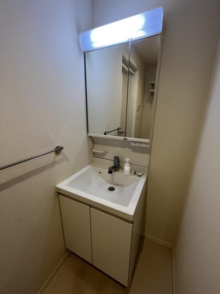 洗面設備　便利なシャンプードレッサー付き