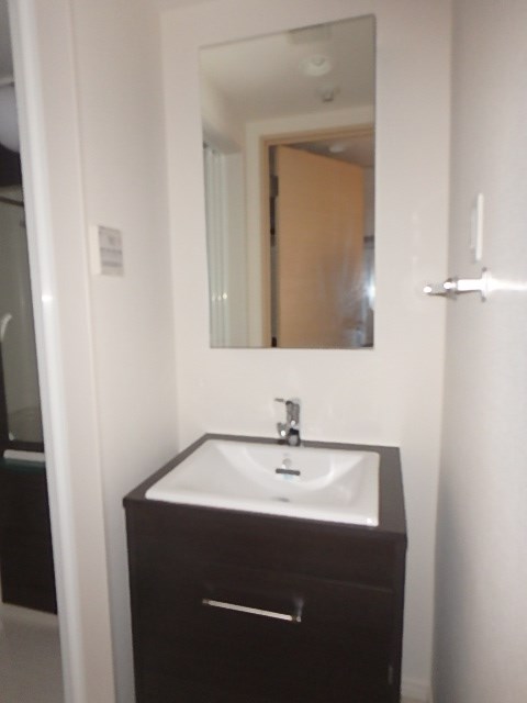 洗面設備　同仕様写真使用