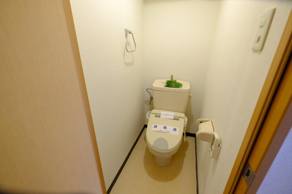 トイレ　室内写真は別室です