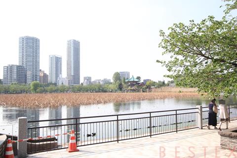 公園　東京都上野恩賜公園（公園）まで946m