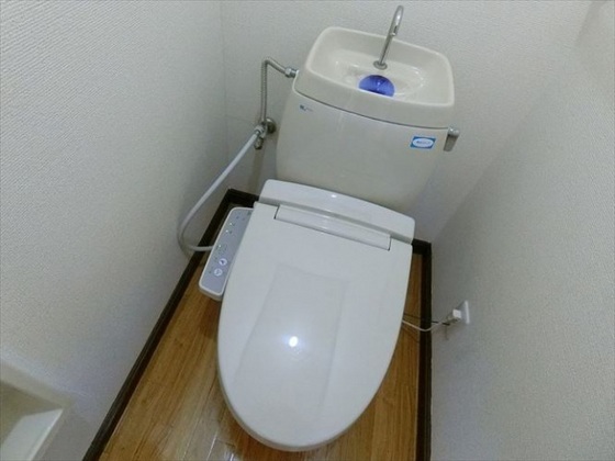 トイレ　他号室のお写真です