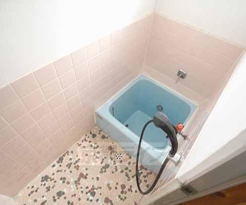 バス・シャワールーム　シャワー付きです