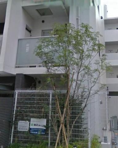 庭　エントランス植栽前