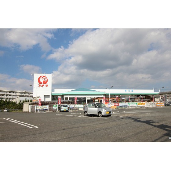 ホームセンター　コメリハード＆グリーン大和店（ホームセンター）まで1305m
