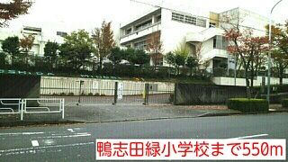 小学校　鴨志田緑小学校（小学校）まで550m