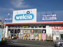 ドラックストア　ウエルシア 練馬向山店（ドラッグストア）まで381m