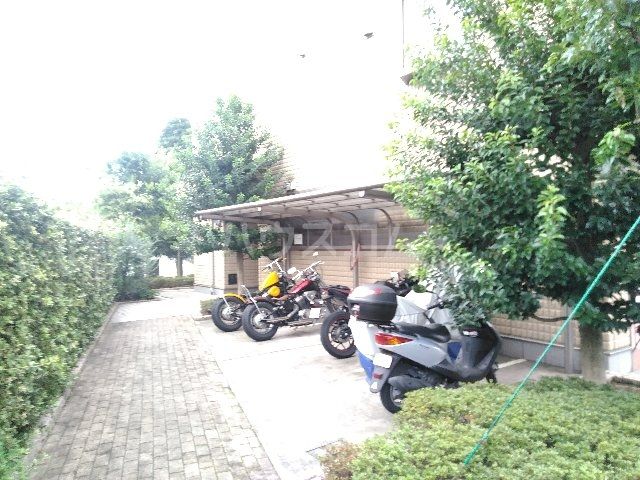 庭