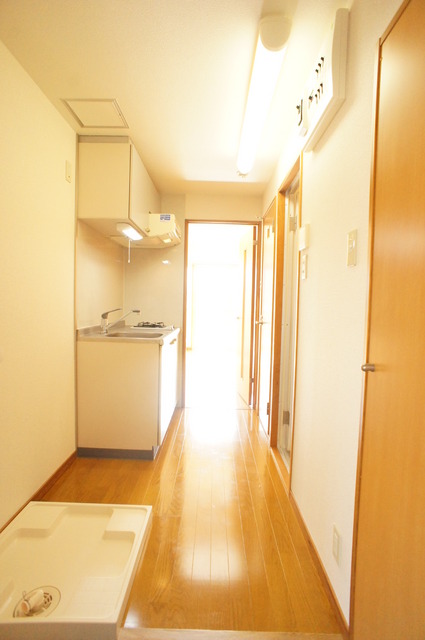 その他　玄関から見た室内です
