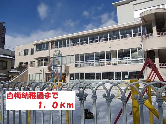 幼稚園・保育園　白梅幼稚園（幼稚園・保育園）まで1000m