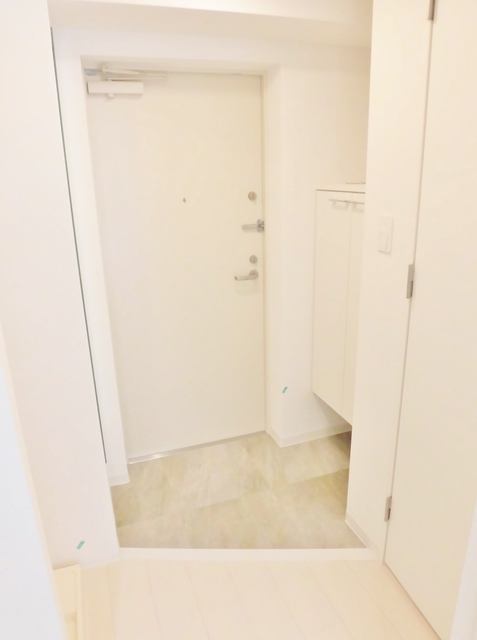 玄関　全身写るミラーとシューズＢＯＸ付