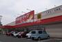 ドラックストア　ツルハドラッグ　仙台新田店（ドラッグストア）まで578m