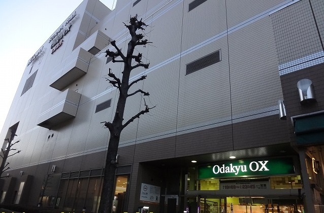 スーパー　Odakyu OX（スーパー）まで500m
