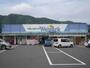 ドラックストア　ウェルパーク津久井店（ドラッグストア）まで451m