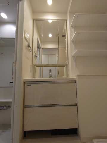 洗面設備　ヒューリックレジデンス新宿戸山※他のお部屋の参考写真です