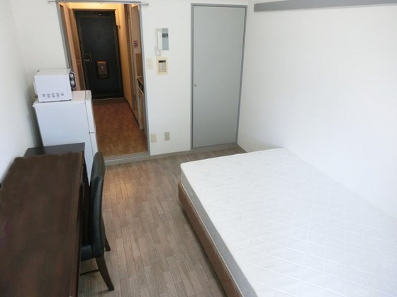 玄関　※他部屋の写真です。