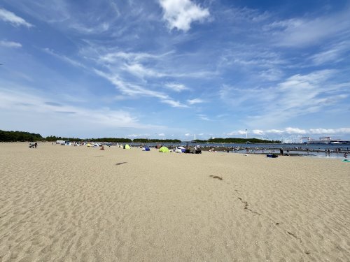 公園　海の公園（公園）まで251m
