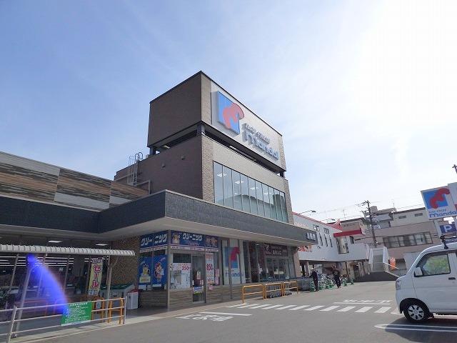 スーパー　万代（スーパー）まで570m