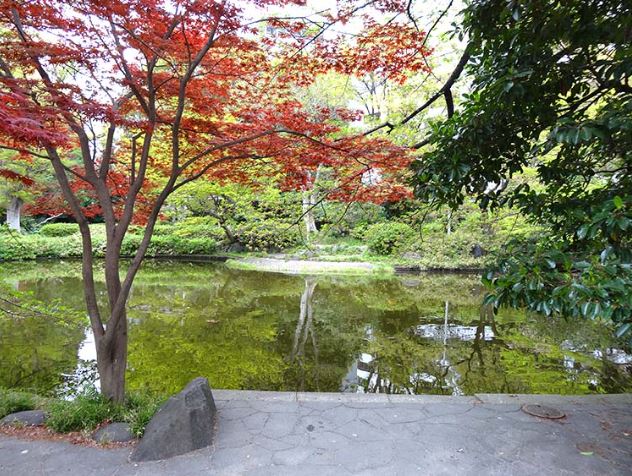 公園　清水谷公園（公園）まで588m