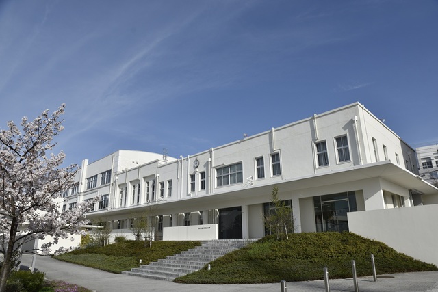 大学・短大　私立東洋食品工業短期大学（大学・短大）まで714m