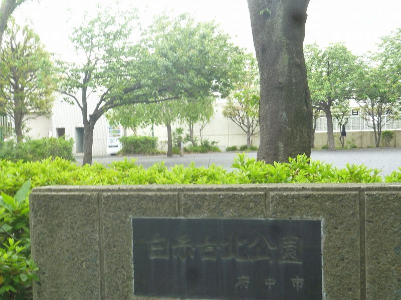 公園　白糸台北公園（公園）まで500m