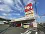 ドラックストア　スギ薬局　御油駅前店（ドラッグストア）まで966m