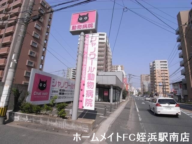 病院　シャノワール動物病院（病院）まで1245m