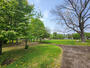 公園　大通公園（公園）まで1289m