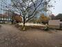 公園　千代田区立和泉公園（公園）まで303m