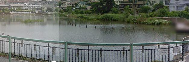 公園　小池公園（公園）まで1189m