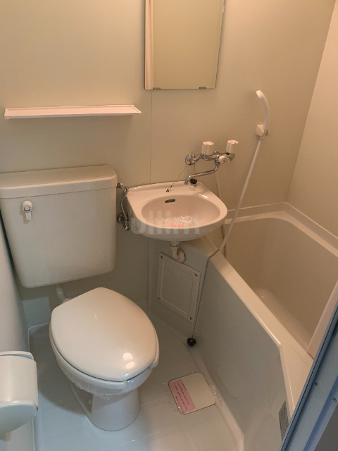 バス・シャワールーム　※同タイプの他のお部屋です