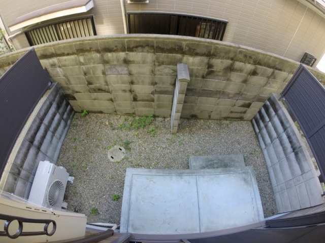 庭