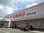 ドラックストア　ひまわり尾道中央店（ドラッグストア）まで450m
