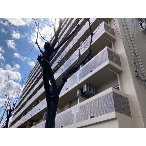 建物外観　☆仲介手数料不要です！☆お気軽にお問い合わせください♪