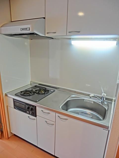 その他部屋・スペース　★使いやすい２口ガスシステムキッチン（グリル付）です★