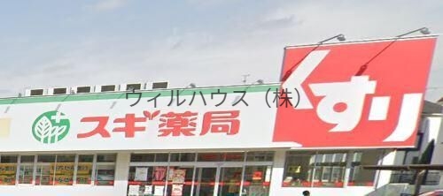 ドラックストア　スギ薬局取石店（ドラッグストア）まで1054m