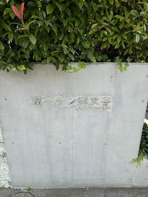 庭　2024年6月撮影