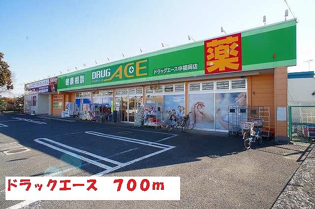 ドラックストア　ドラッグエース（ドラッグストア）まで700m