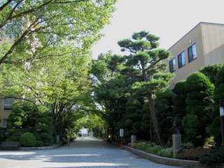 図書館　園田学園女子大学図書館（図書館）まで1139m