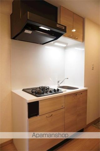 ルーブル川崎上平間弐番館のキッチン写真
