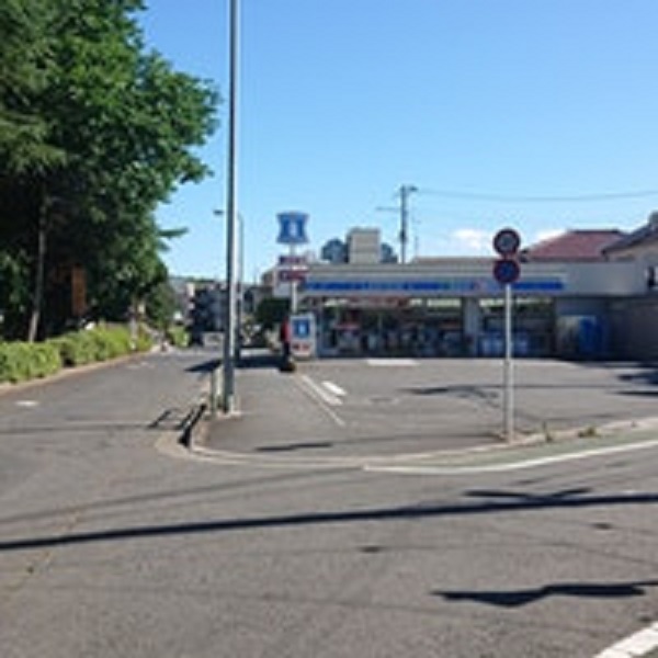 コンビニ　ローソン板橋三園一丁目店（コンビニ）まで548m