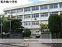 小学校　坂井輪（小学校）まで1169m