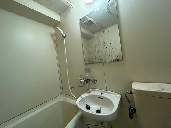 洗面設備　※別号室の写真です