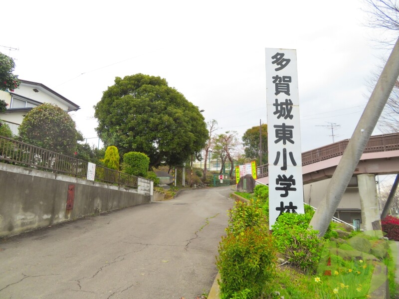 【多賀城市大代のアパートの小学校】