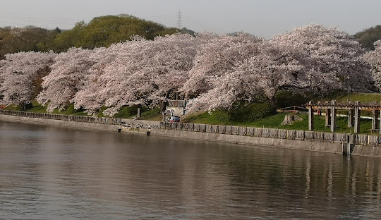 【倉敷市大内のアパートの公園】